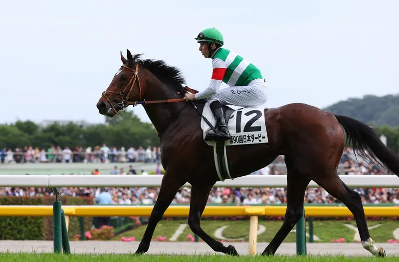 말딸,경마)타스티에라도 진짜 마생 기구하네_1.webp