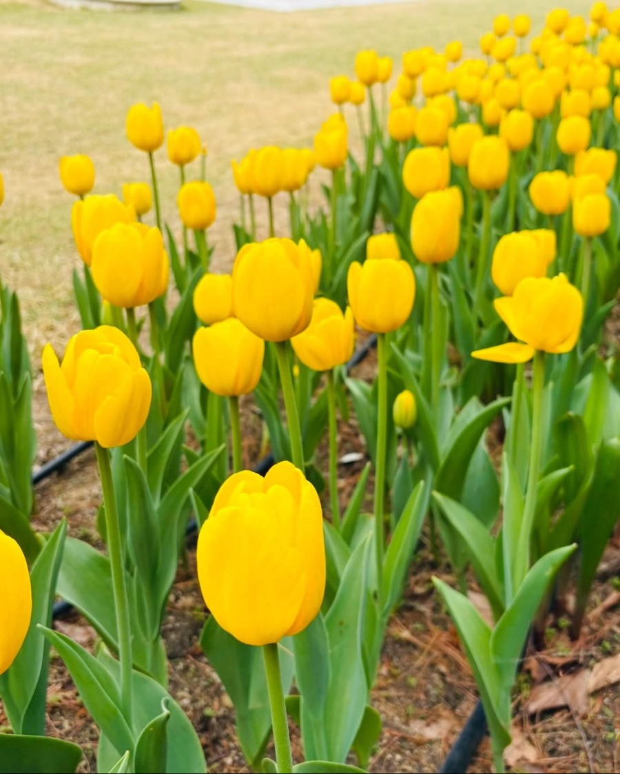 250427.문별.인스타그램 10.jpg