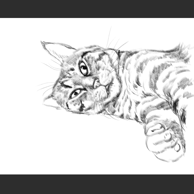 우리집 고등어고양이 보고가셈_1.png