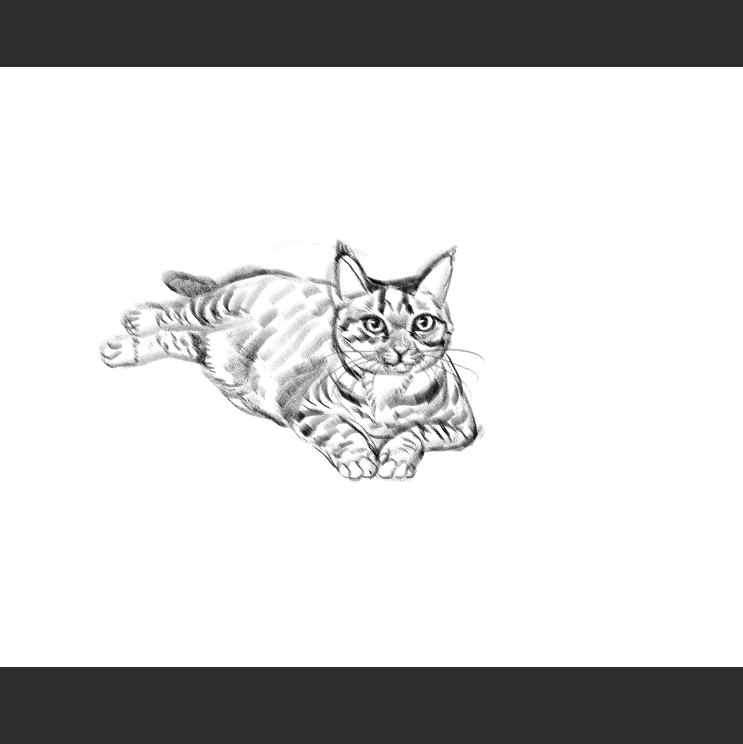 우리집 고등어고양이 보고가셈_2.png