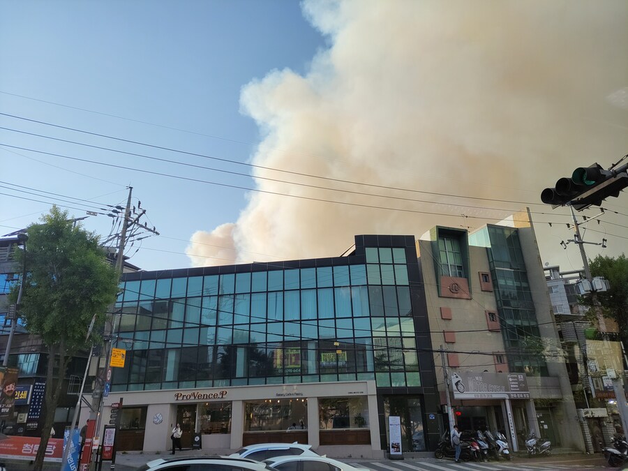 직찍) 실시간 대구 산불 미쳤다_8.jpg