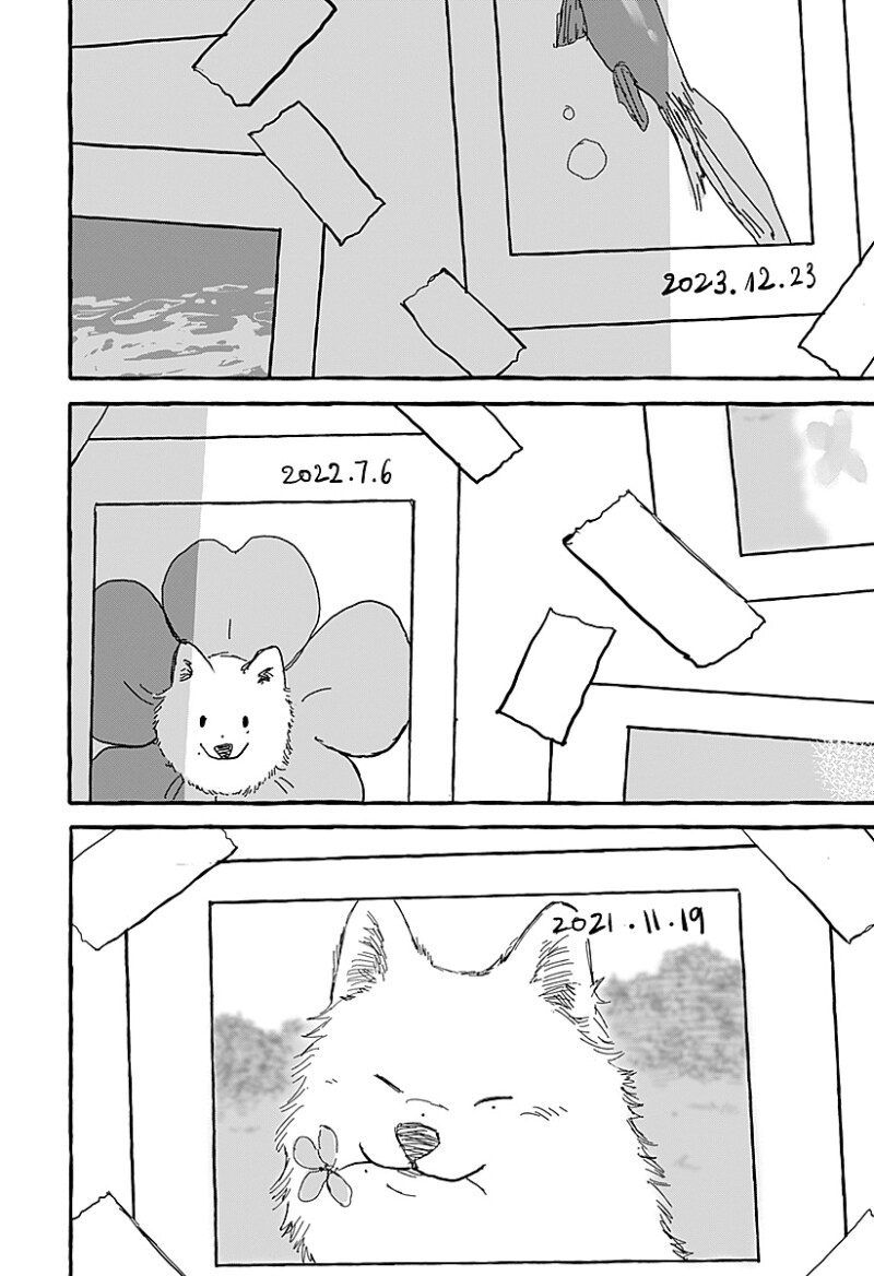 아오이의 방에 다시금 봄이 찾아왔다 만화 .manhwa_48.png