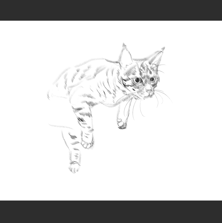 우리집 고등어고양이 보고가셈_3.png