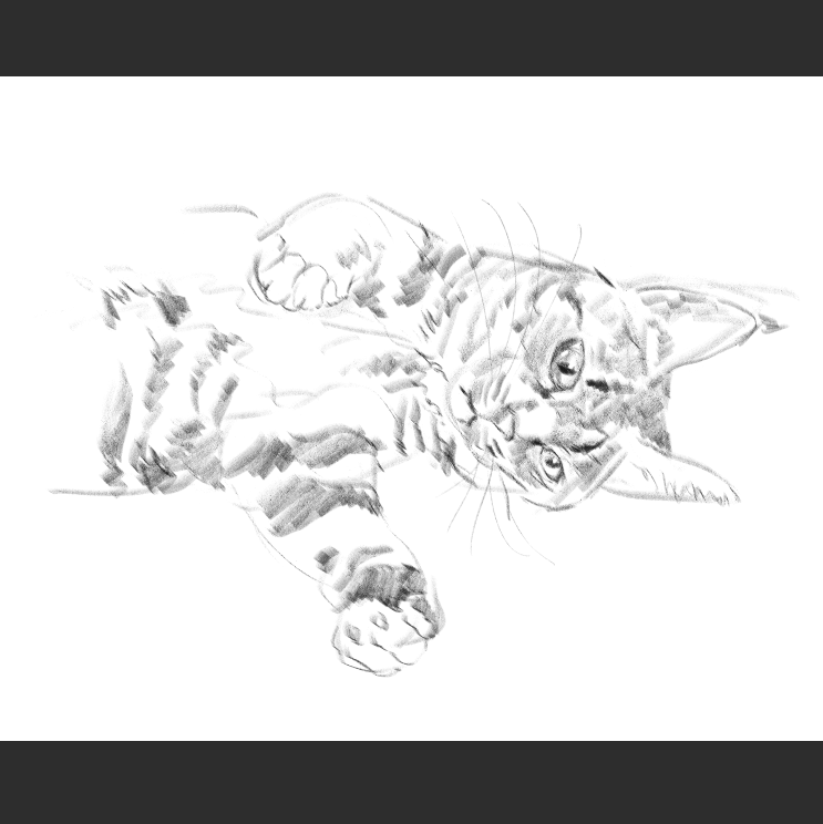 우리집 고등어고양이 보고가셈_6.png