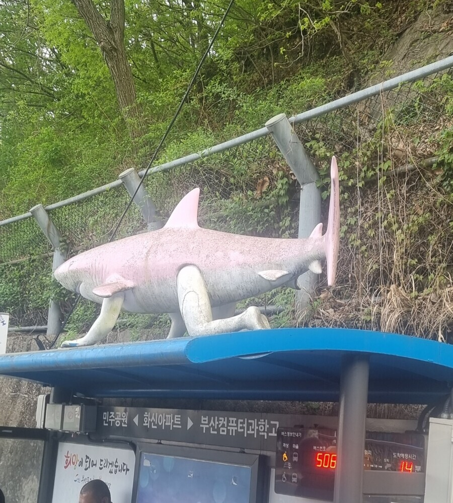 부산의 명물 트랄랄레로 트랄랄라_2.webp