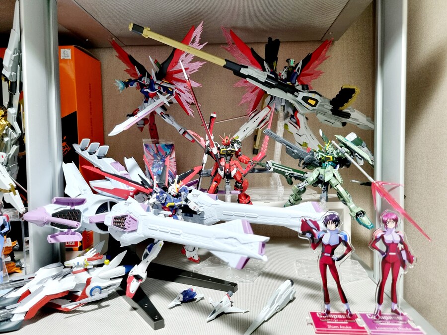 SEED FREEDOM의 지름은 끝...이 났나??_10.jpg