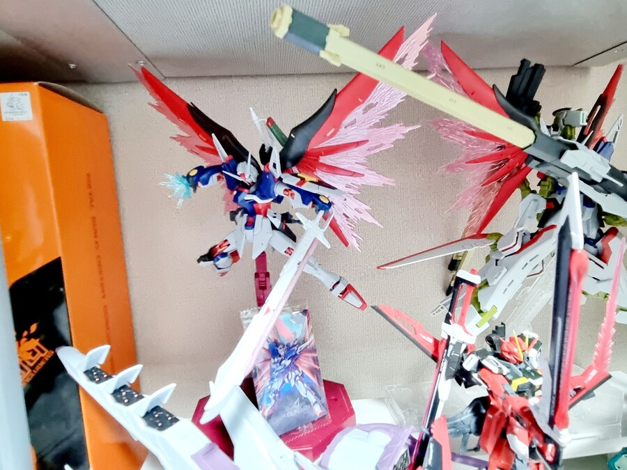 SEED FREEDOM의 지름은 끝...이 났나??_11.jpg