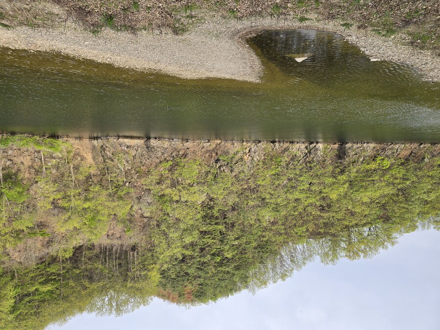 청송 닭불고기, 영주 랜떡_7.jpg