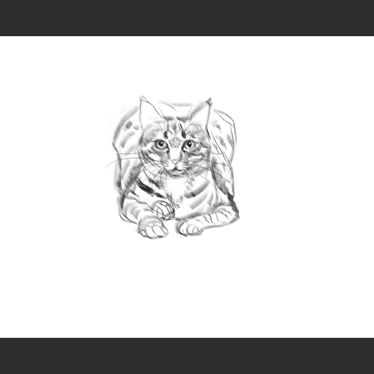 우리집 고등어고양이 보고가셈_1.png