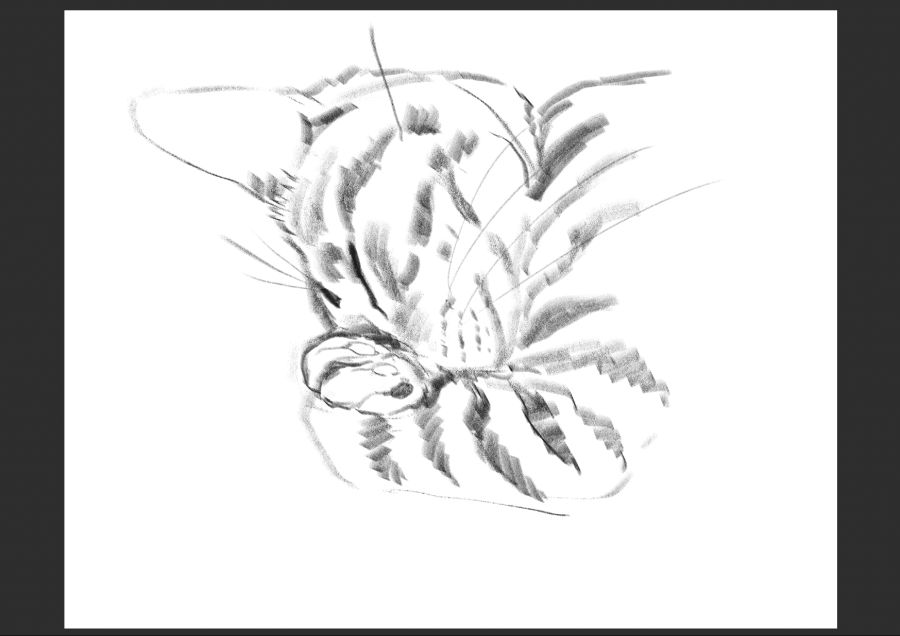 우리집 고등어고양이 보고가셈_7.jpg