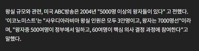 아랍어 강사가 빈 살만 시켜준대도 싫다고 한 이유는..._3.png