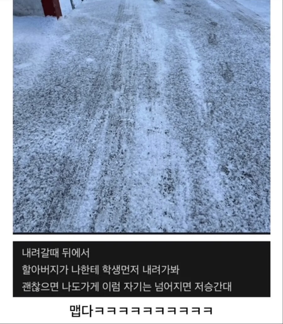 동네에 눈이 많이왔는데