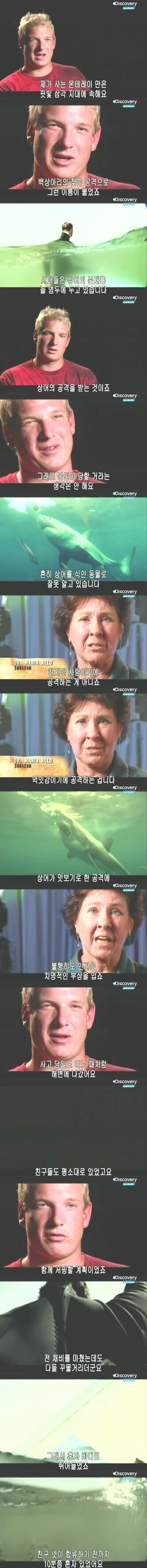 [극혐] 상어한테 물린 사람.jpg_1.jpg
