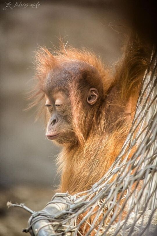 조희대 대법원장 임기가 2년 더 남음._1.jpg