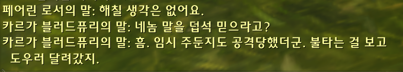 와우 11.1.7 대장정 - 버전 붉은 여명회의 봉기 스토리 및 보상_19.png