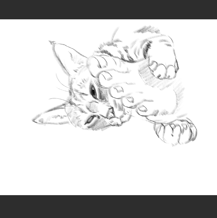 우리집 고등어고양이 보고가셈_2.png