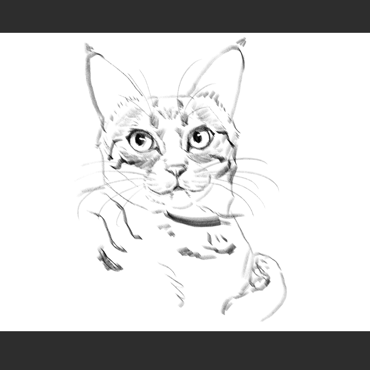 우리집 고등어고양이 보고가셈_9.png