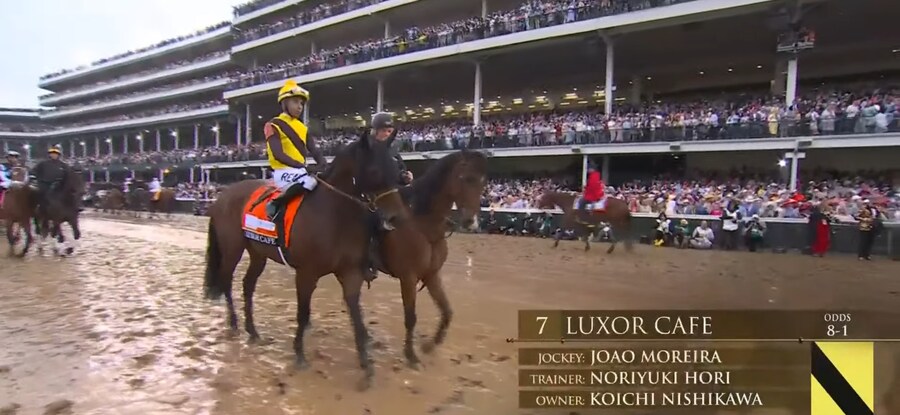 말딸,경마) 말들 : 이정도 마장 상태이면 다른날로 하죠?_5.jpg