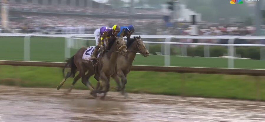 말딸,경마) 말들 : 이정도 마장 상태이면 다른날로 하죠?_11.jpg