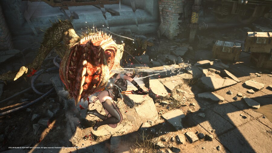 스텔라 블레이드 (스포 주의)_61.jpg