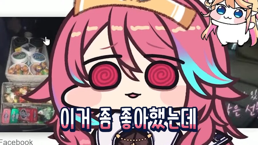 버튜버) 로제타/논란 나이 논란_6.png