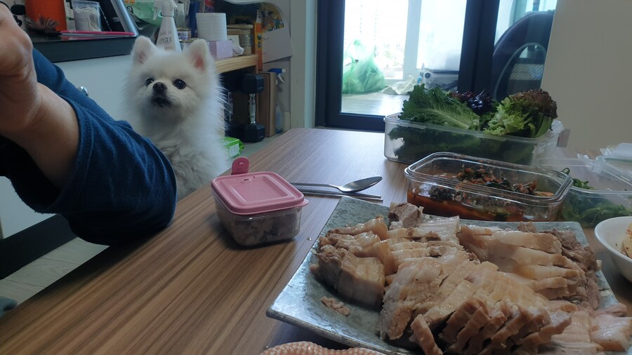 "수육.. 수육을 삶았구나!"_5.jpg