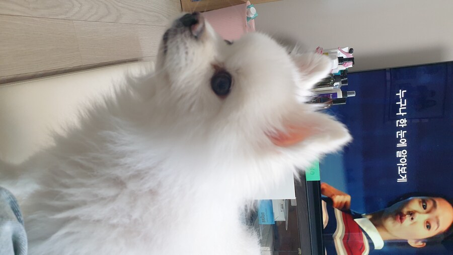 "수육.. 수육을 삶았구나!"_6.jpg