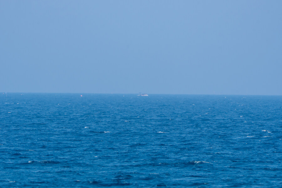 뒤늦게 올리는 강릉 탐조_7.jpg