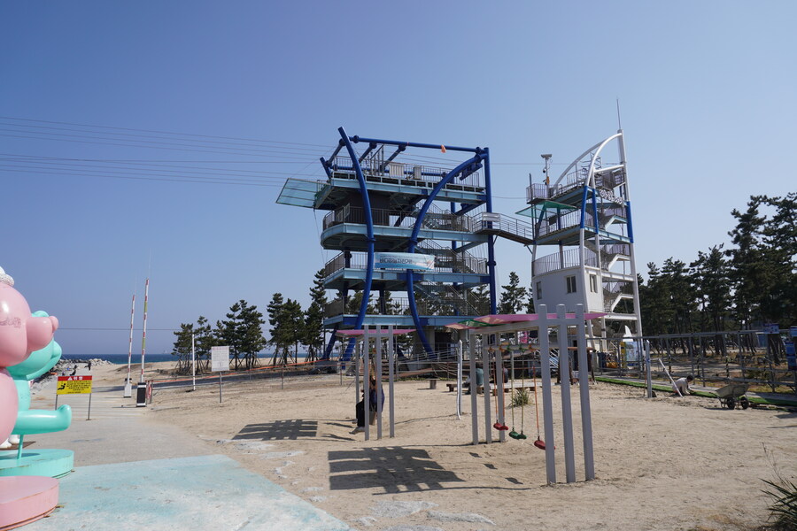 뒤늦게 올리는 강릉 탐조_10.jpg