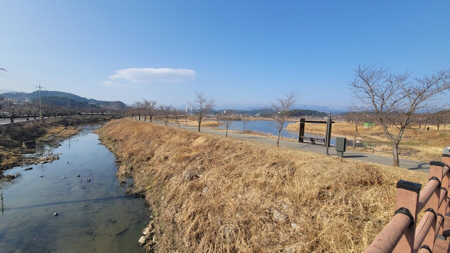 뒤늦게 올리는 강릉 탐조_59.jpg