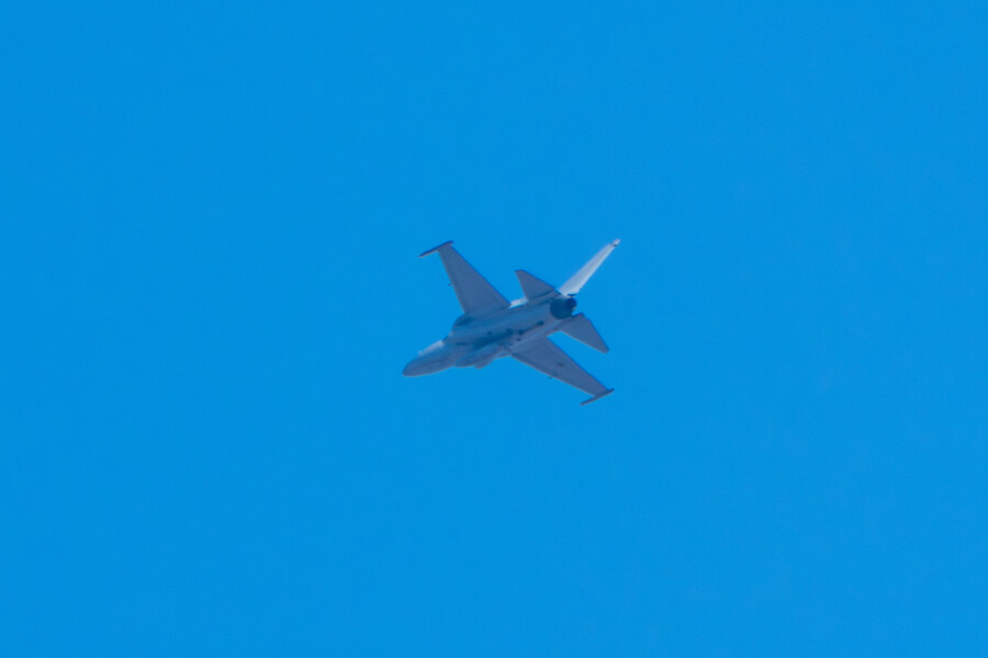 뒤늦게 올리는 강릉 탐조_63.jpg