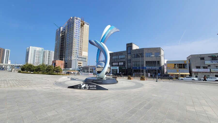 뒤늦게 올리는 강릉 탐조_83.jpg