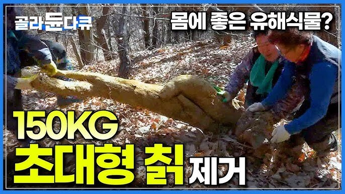 ??? : 칡? 해외에선 문제지만 한국에서 별거 아닌 놈이라고 ㅋㅋ_6.jpg
