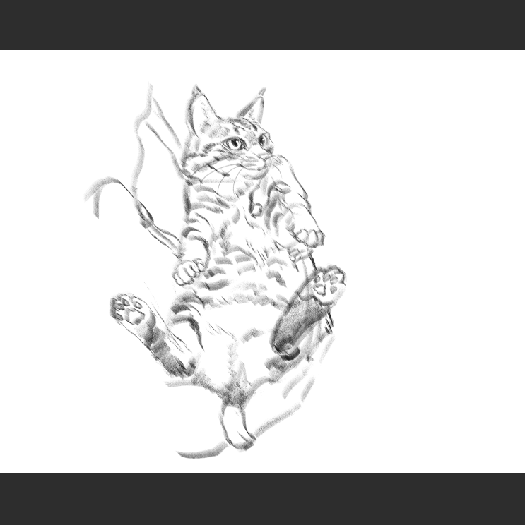 우리집 고등어고양이 보고가셈(feat.Ai어쩌구)_1.png