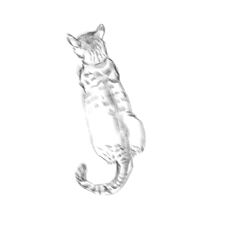 우리집 고등어고양이 보고가셈(feat.Ai어쩌구)_7.png