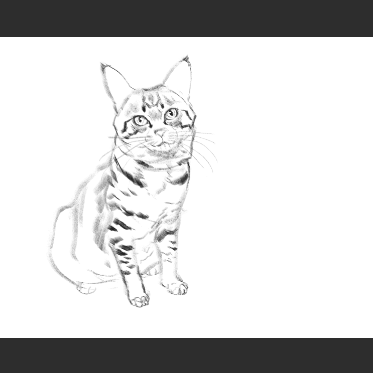 우리집 고등어고양이 보고가셈(feat.Ai어쩌구)_8.png