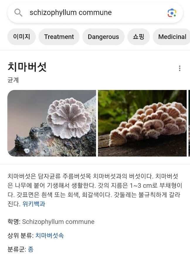 지구상에서 가장 성별이 많은 생물.jpg_1.jpg