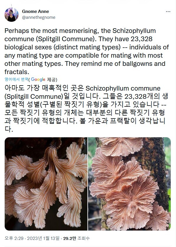 지구상에서 가장 성별이 많은 생물.jpg_2.jpg