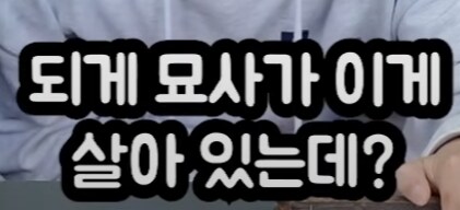 유튜브) 진짜 앞에서 말문이 막힌 곤충애호가_3.png