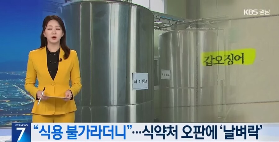 식약처 실수로 막대한 피해를 본 갑오징어 뼈 업체_1.jpg