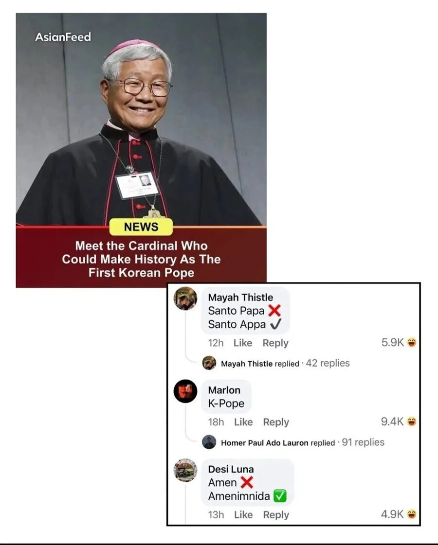 콘클라베 참가한 한국 추기경님에게 달린 댓글.jpg_1.webp