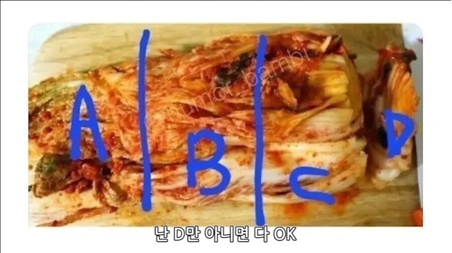 한국인도 서로 이해 못하는 김치 취향_2.png