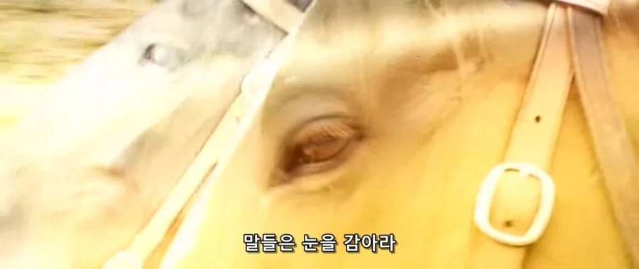 전설의 팔진도를 사용하는 제갈량_8.webp