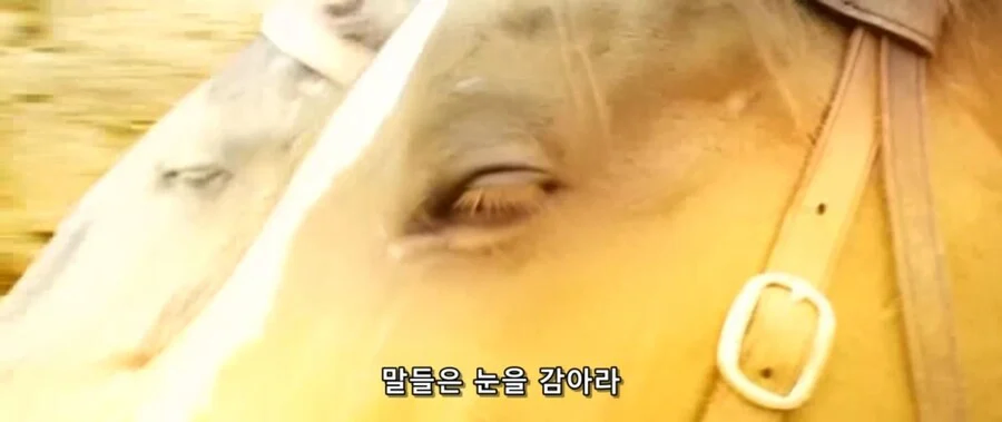 전설의 팔진도를 사용하는 제갈량_9.webp