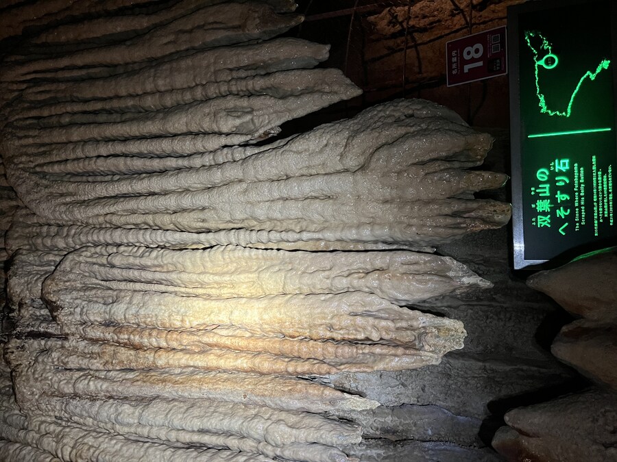 일본여행 1달 - 마트표음식 투어 (스크롤 주의)_35.jpg