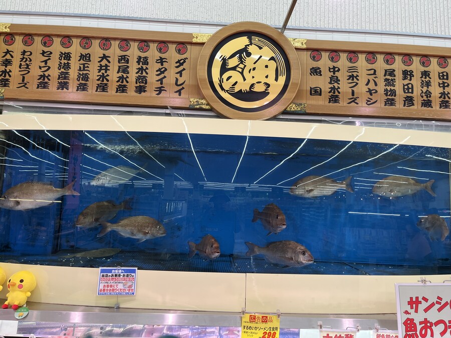 일본여행 1달 - 마트표음식 투어 (스크롤 주의)_37.jpg