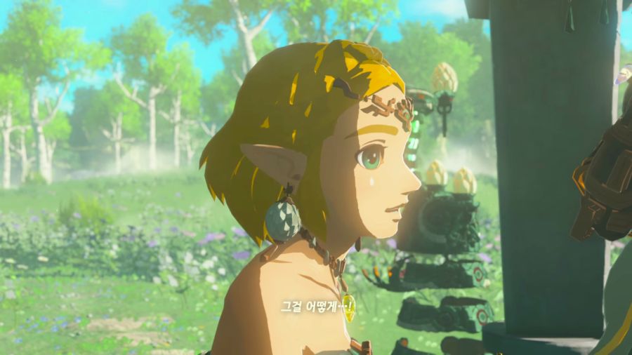 젤다의 전설 티어즈 오브 더 킹덤_38.png