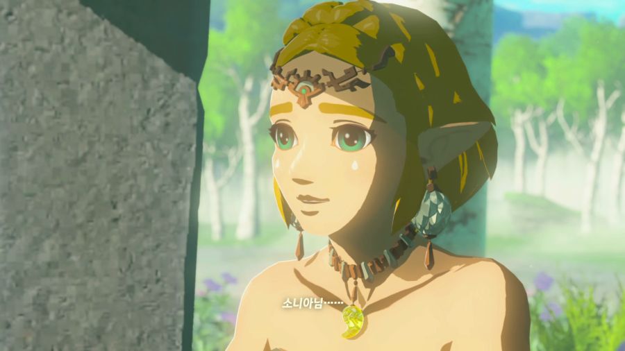 젤다의 전설 티어즈 오브 더 킹덤_44.png