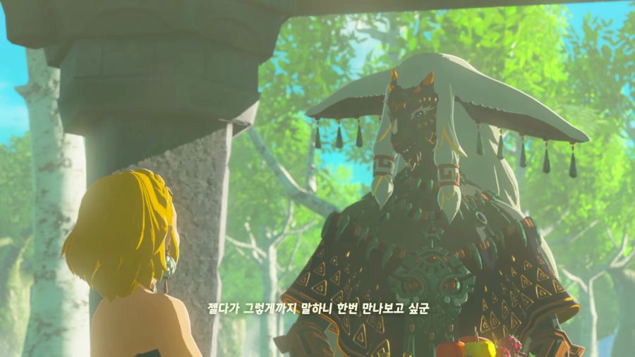 젤다의 전설 티어즈 오브 더 킹덤_55.png