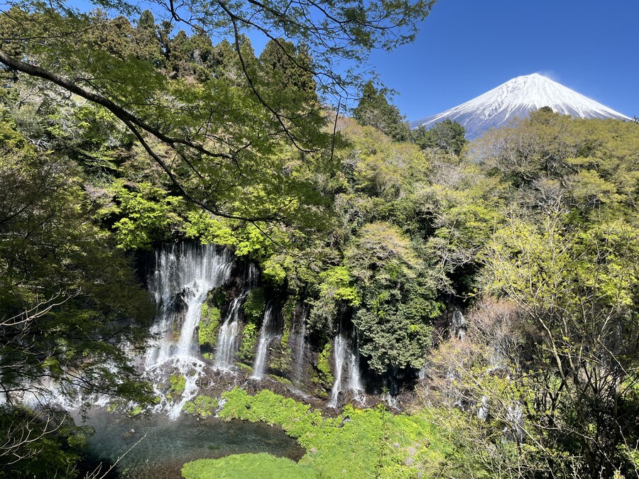 일본여행 - 오사카 ,시즈오카 후지산_28.jpg